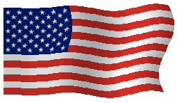 USAFLAG_ANIM4A[1].GIF (43410 bytes)